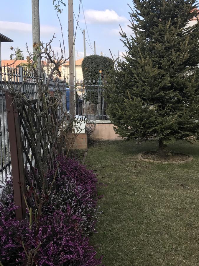 Color House Malpensa B&B Cassano Magnago Exteriör bild